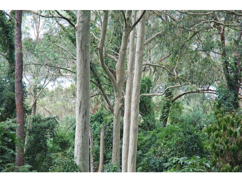 10 Daley Crescent, North Nowra NSW 2541