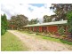 D1036 Princes Highway, Falls Creek NSW 2540