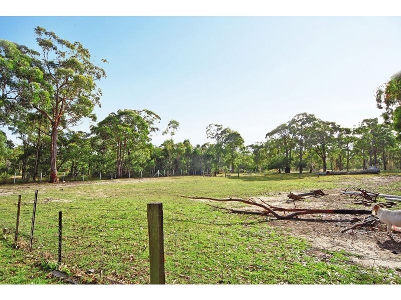 21 Gardner Road, Falls Creek NSW 2540