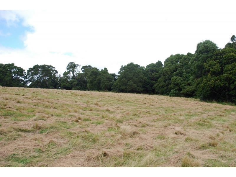 Lot 2 Braidwood Road, Sassafras NSW 2622