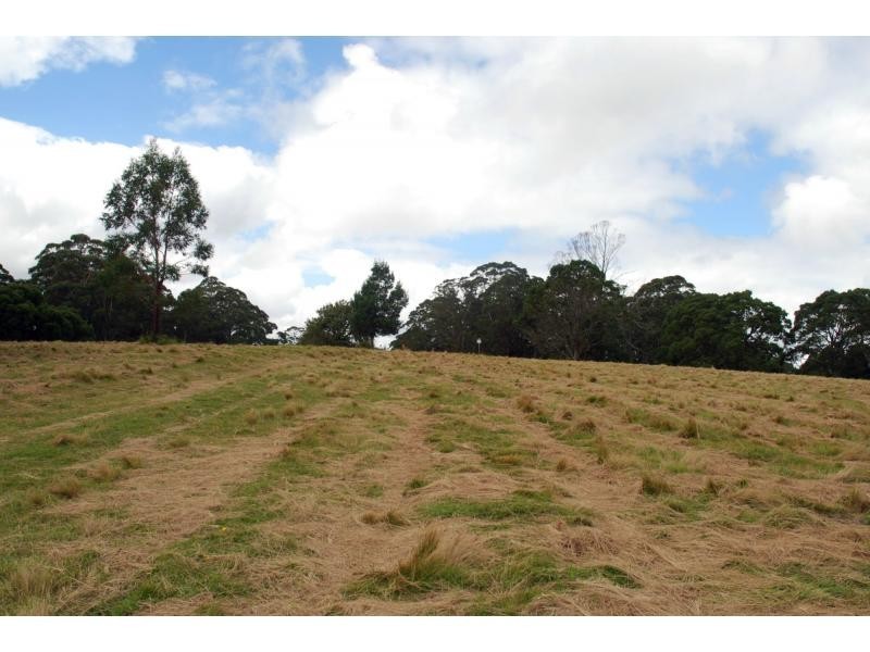 Lot 2 Braidwood Road, Sassafras NSW 2622