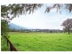 259 Hockeys Lane, Bangalee NSW 2541