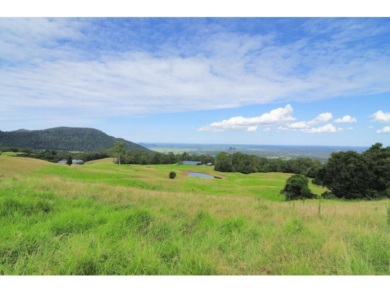 167 Carrington Road, Cambewarra NSW 2540