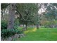 D3380 Princes Highway, Jerrawangala NSW 2540