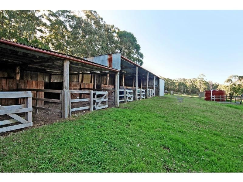 D3380 Princes Highway, Jerrawangala NSW 2540
