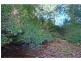 D3380 Princes Highway, Jerrawangala NSW 2540