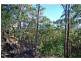 D3380 Princes Highway, Jerrawangala NSW 2540
