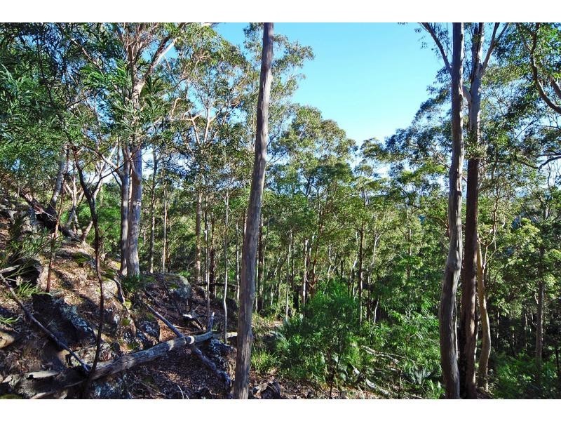 D3380 Princes Highway, Jerrawangala NSW 2540
