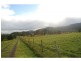 357a Princes Highway, Broughton Village NSW 2534