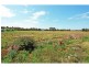 19a Booligal Road, Worrigee NSW 2540