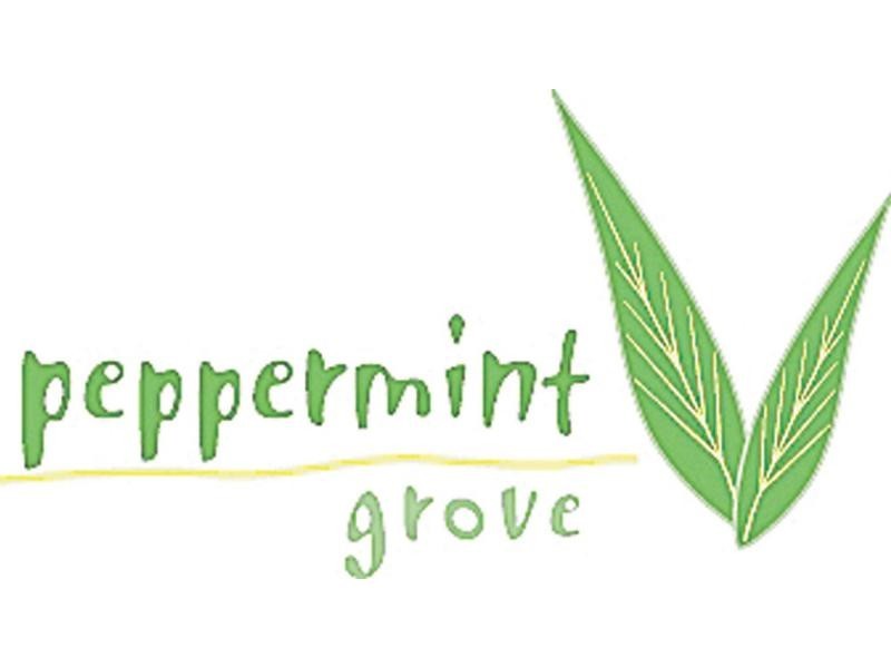 Lot 511 Peppermint Drive, Worrigee NSW 2540