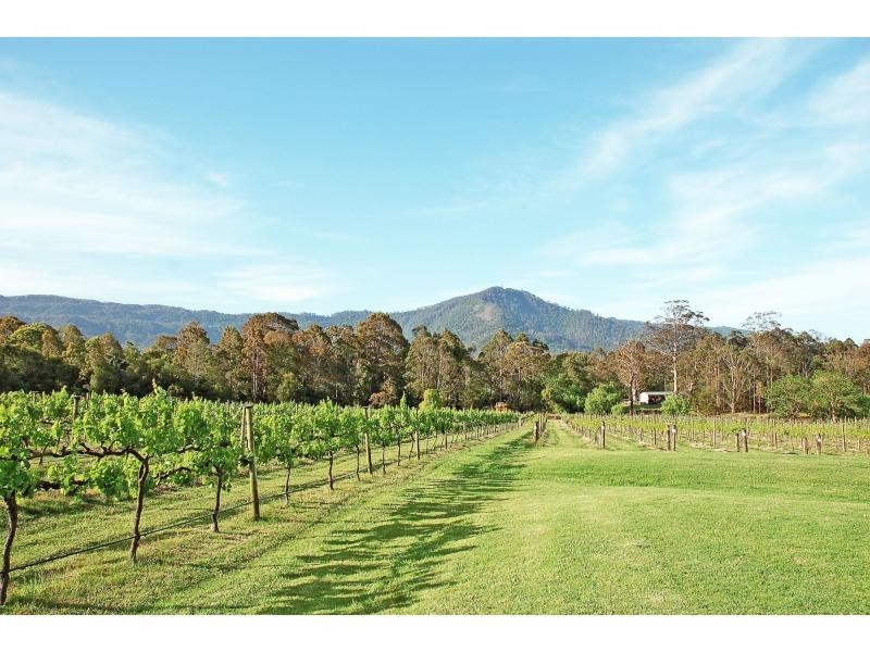 520 Illaroo Road, Cambewarra NSW 2540