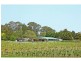520 Illaroo Road, Cambewarra NSW 2540