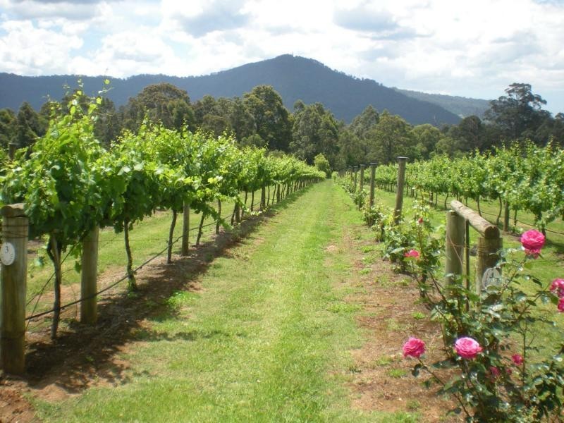 520 Illaroo Road, Cambewarra NSW 2540