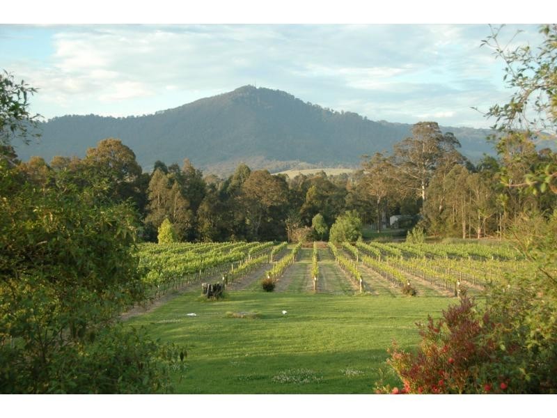 520 Illaroo Road, Cambewarra NSW 2540