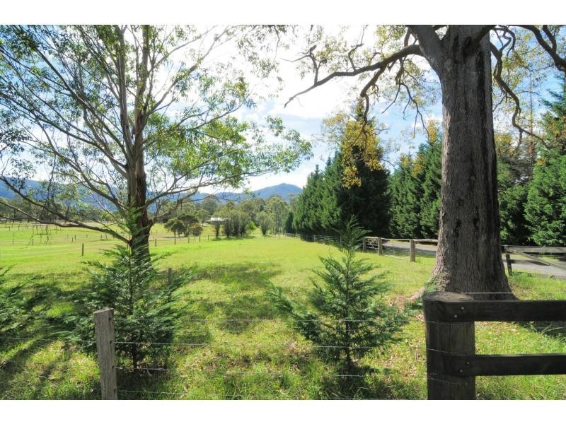 540 Illaroo Road, Bangalee NSW 2541