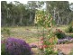 6715 Braidwood Road, Nerriga NSW 2622