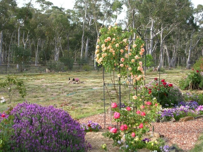 6715 Braidwood Road, Nerriga NSW 2622