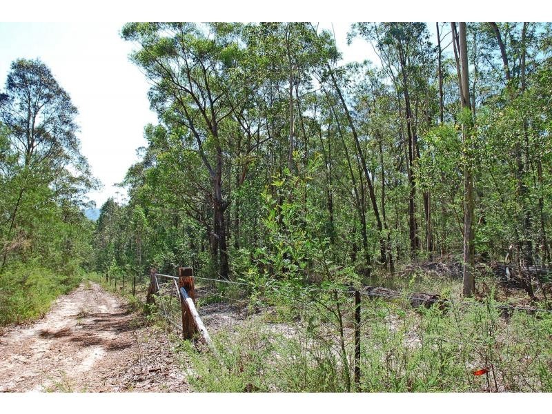 311 Wandean Road, Wandandian NSW 2540