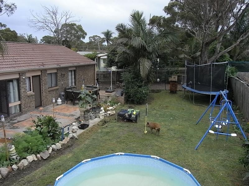 1 Truscott Avenue, Sanctuary Point NSW 2540