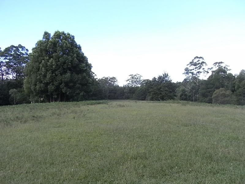 L21 Wandean Road, Wandandian NSW 2540