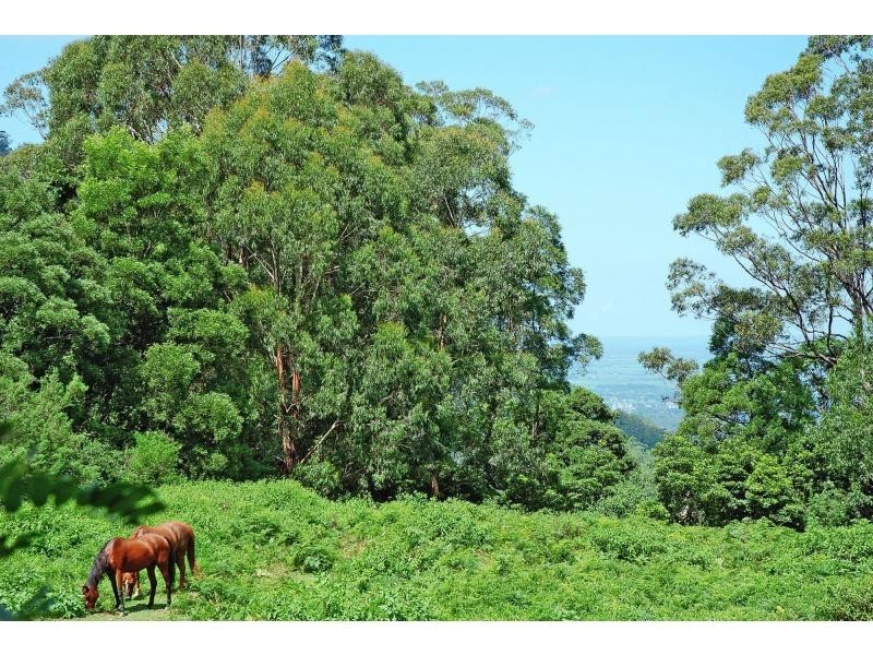 17 Carrington Road, Cambewarra NSW 2540