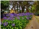 111 Worrigee Road, Worrigee NSW 2540