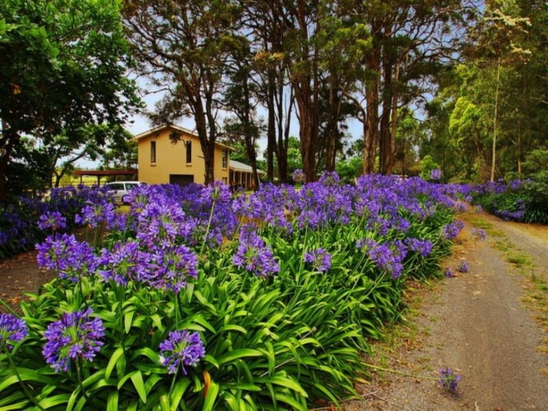 111 Worrigee Road, Worrigee NSW 2540