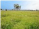 111 Worrigee Road, Worrigee NSW 2540