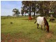 111 Worrigee Road, Worrigee NSW 2540