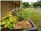 111 Worrigee Road, Worrigee NSW 2540