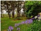 111 Worrigee Road, Worrigee NSW 2540