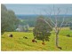 380 Main Road, Cambewarra NSW 2540