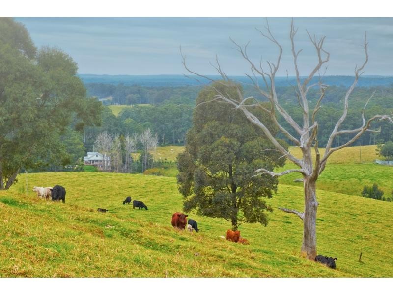 380 Main Road, Cambewarra NSW 2540
