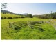 380 Main Road, Cambewarra NSW 2540