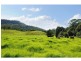 380 Main Road, Cambewarra NSW 2540