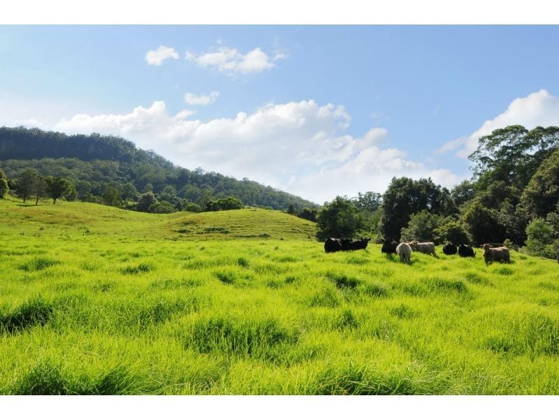 380 Main Road, Cambewarra NSW 2540