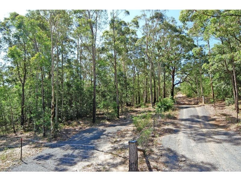 L311 Wandean Road, Wandandian NSW 2540