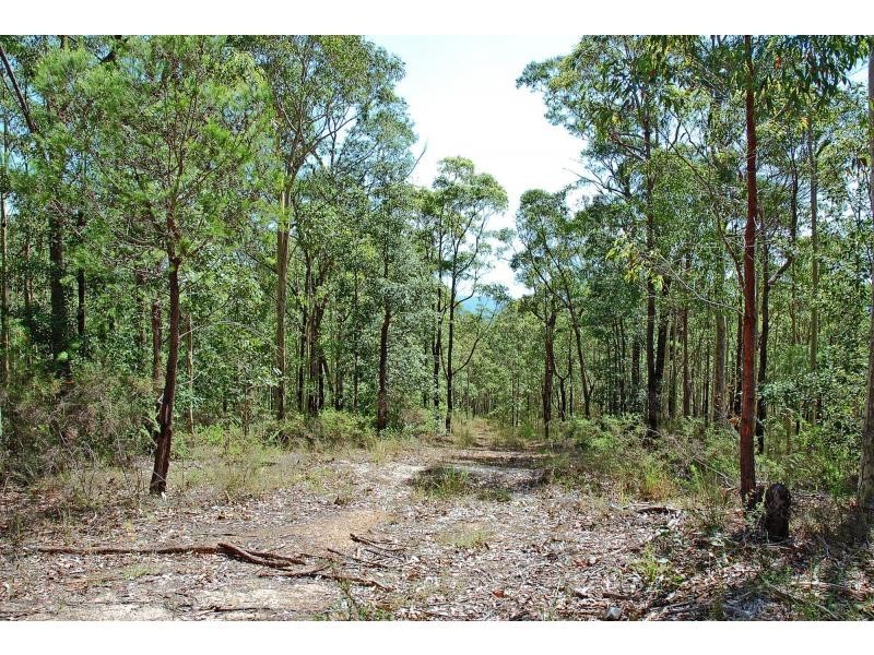 L311 Wandean Road, Wandandian NSW 2540