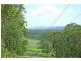 L311 Wandean Road, Wandandian NSW 2540