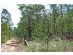 L311 Wandean Road, Wandandian NSW 2540