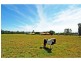 143 Albatross Road, Nowra Hill NSW 2540