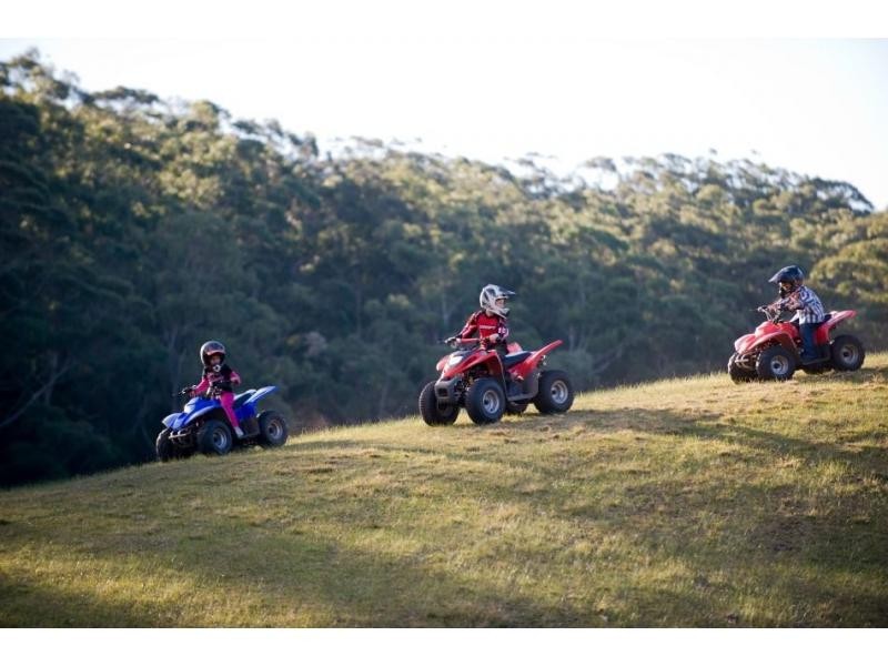 50 Comberton Grange Road, Falls Creek NSW 2540