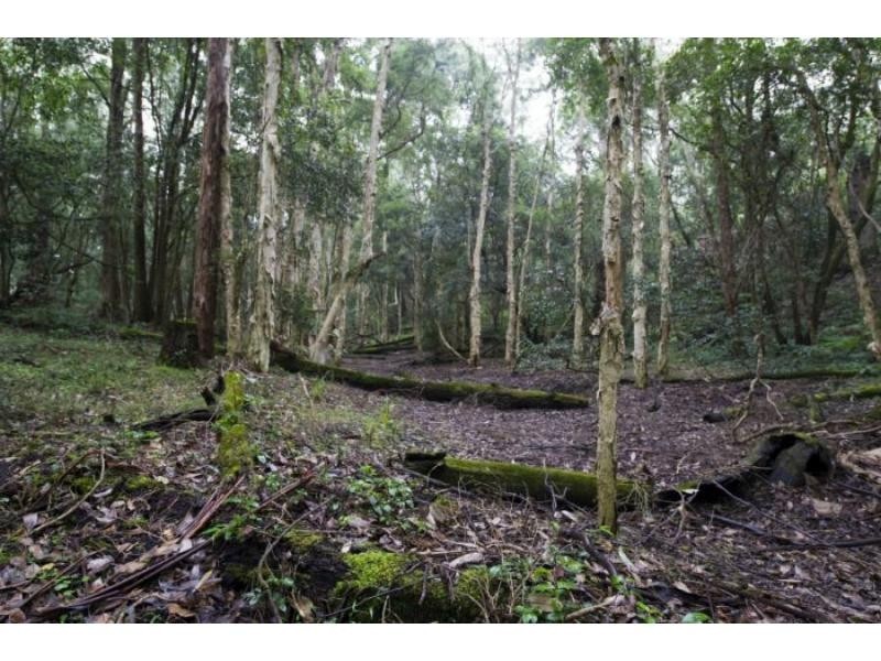 50 Comberton Grange Road, Falls Creek NSW 2540