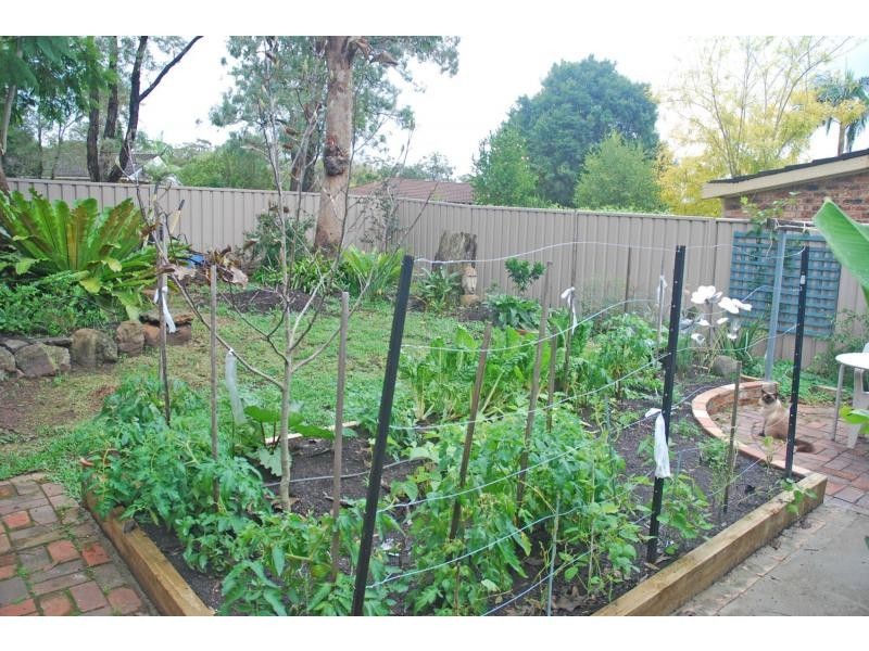 11 Russell Avenue, North Nowra NSW 2541