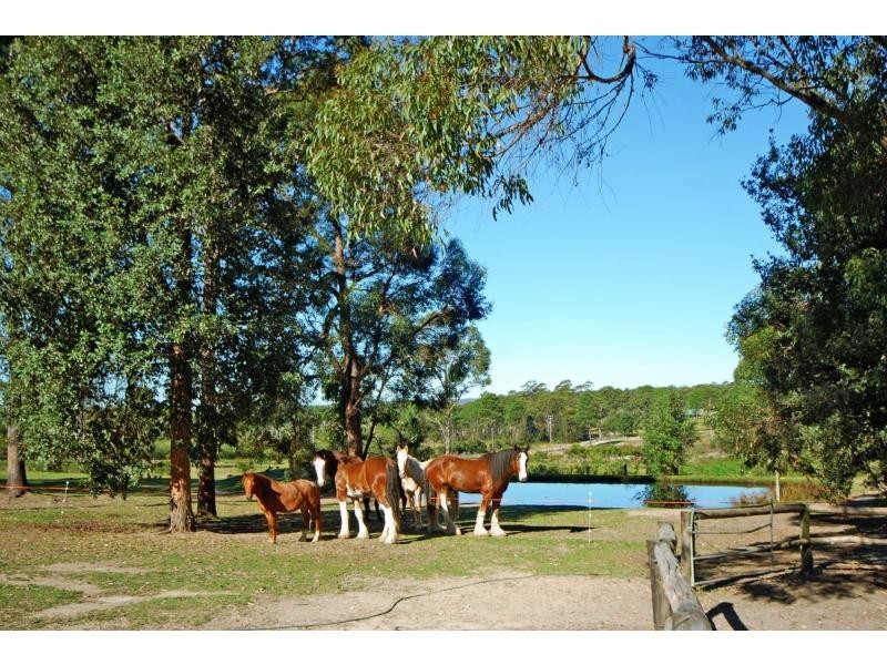 316B Pine Forest Road, Tomerong NSW 2540