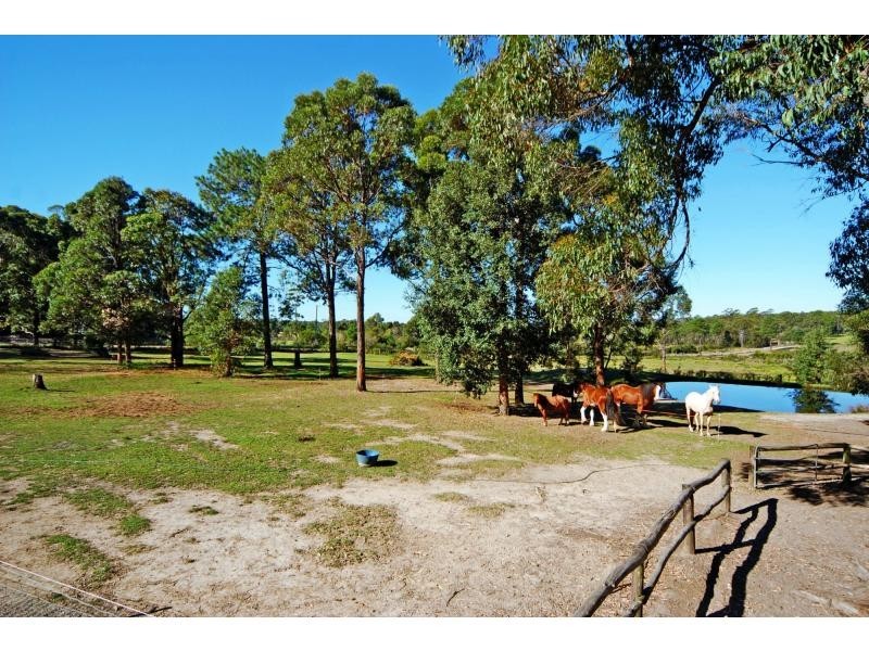 316B Pine Forest Road, Tomerong NSW 2540