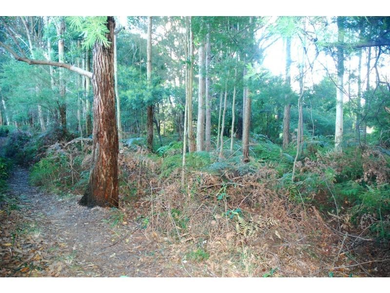 17 Mahogany Place, North Nowra NSW 2541