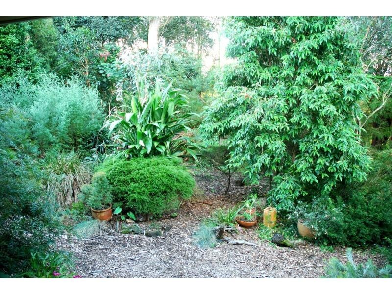17 Mahogany Place, North Nowra NSW 2541