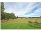 291 Gannet Road, Nowra Hill NSW 2540